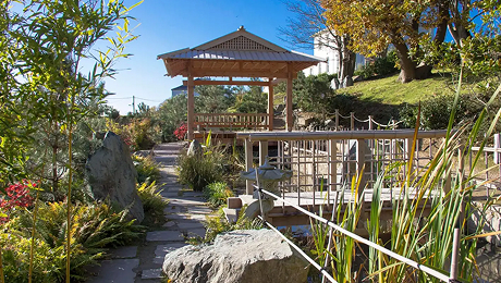 Wooden pavilion overlooking a landscaped Japanese garden with stone paths, pond, and surrounding plants.