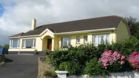 Single-storey yellow house with a driveway and flowering shrubs in the front garden.